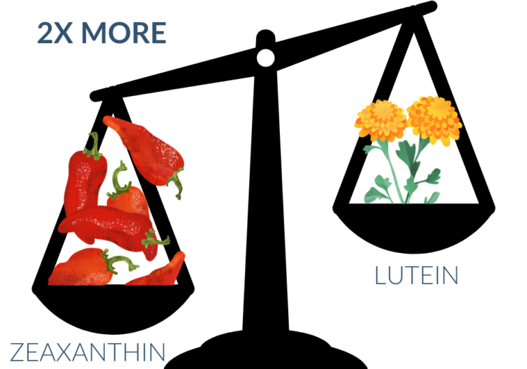 EyePromise includes twice as much zeaxanthin as lutein in its products to match the natural ratio of a healthy fovea. EyePromise includes twice as much zeaxanthin as lutein in its products to match the natural ratio of a healthy fovea.