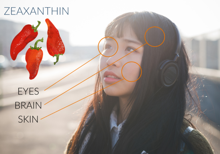 Zeaxanthin can be found in several major organs, including the brain, eyes, and skin. Zeaxanthin can be found in several major organs, including the brain, eyes, and skin.